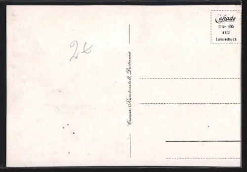 AK Düren, Wassergraben am Schloss Burgau