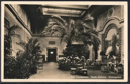 AK Bad Oeynhausen, Wintergarten vom Staatl. Kurhaus