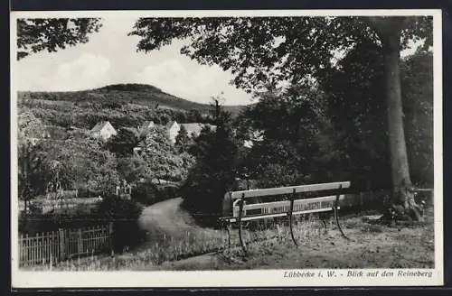 AK Lübbecke i. W., Blick auf den Reineberg