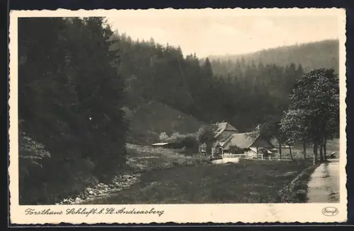 AK St. Andreasberg, Waldpartie beim Forsthaus