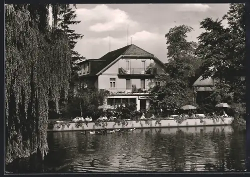 AK Bad Pyrmont, Blick auf Gasthaus-Pension Hamborner Mühle