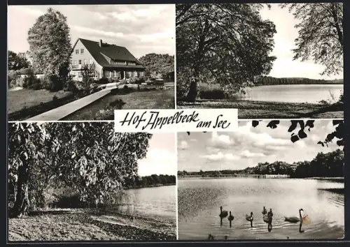 AK Hollenstedt / Nordheide, Gasthaus Hof Appelbeck am See