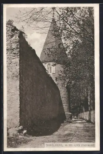 AK Dinkelsbühl, Partie an der alten Stadtmauer