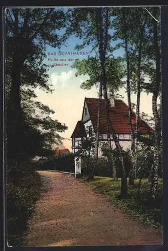 AK Bad Oeynhausen, Sielallee mit Fachwerkhaus