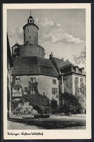 AK Büdingen / Hessen, Äusserer Schlosshof