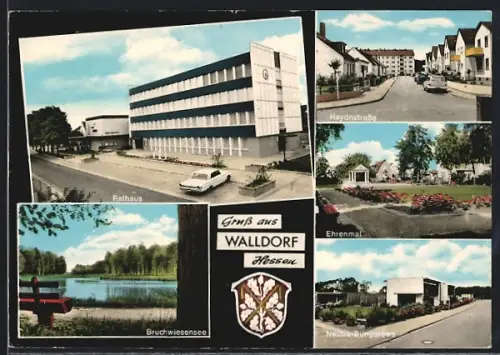 AK Walldorf /Hessen, Rathaus, Bruchwiesensee, Neutra-Bungalows