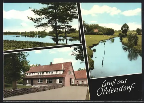 AK Oldendorf /Kr. Celle, Gasthaus-Pension Zur alten Kastanie, Uferpartien