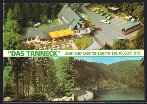 AK Schulenberg /Harz, Restaurant-Cafe Das Tanneck über der Okertalsperre, Waldpartie