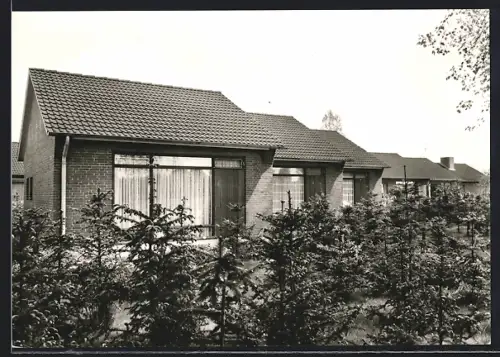 AK Hemmoor OT Westersode, Ortspartie mit Bäumen