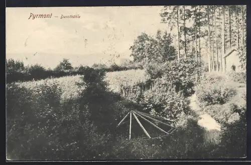 AK Pyrmont, Die Dunsthöhle mit Umgebung