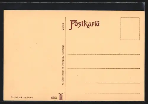 AK Braunschweig, Rathaus mit Uhrenturm