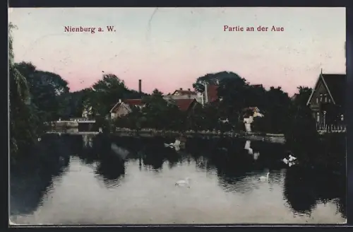 AK Nienburg a. W., Partie an der Aue