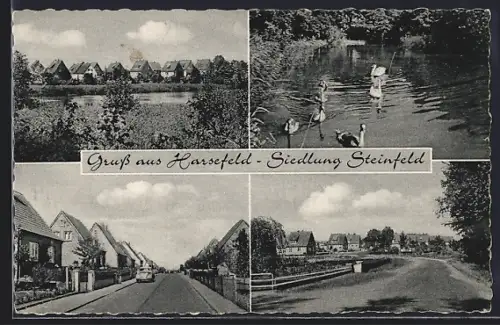 AK Harsefeld, Siedlung Steinfeld mit Ententeich