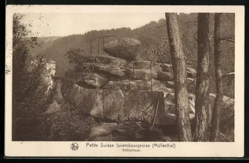 AK Kohlscheuer /Müllerthal, Ansicht mit Bäumen