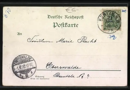 Lithographie Berlin, Reichstagsgebäude, Siegessäule