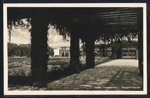 AK Essen, Grugapark, Pergola-Garten