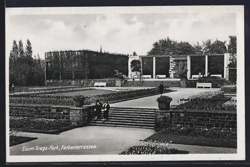 AK Essen, Farbenterrasse im Gruga-Park