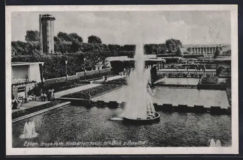 AK Essen, Gruga-Park, Wasserterrassen mit Blick zum Rosenhof