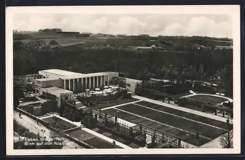 AK Essen, Gruga-Park, Blick auf den Rosenhof