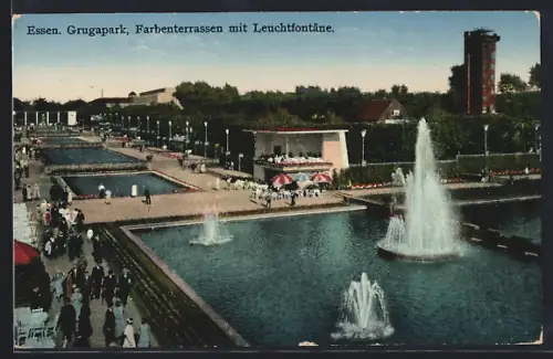 AK Essen, Gruga-Park, Farbenterrassen mit Leuchtfontäne