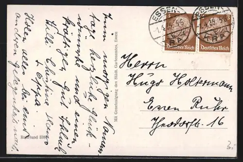 AK Essen, Gruga-Park, Pergolagarten mit Blick zum Radioturm