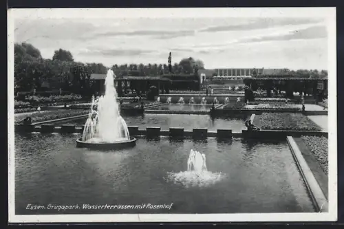 AK Essen, Gruga-Park, Wasserterrassen mit Rosenhof