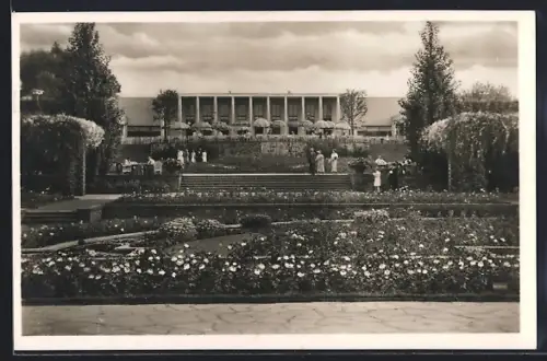 AK Essen, Rosenanlage mit Rosencafe im Gruga-Park