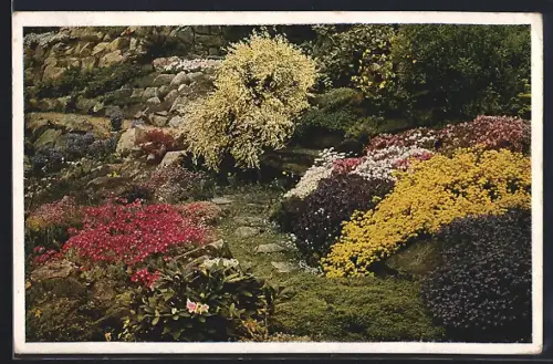 AK Essen, Reichsgartenschau, Alpine Gärten