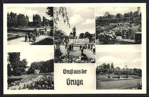 AK Essen, Gruga, Verschiedene Ansichten der Parkanlage