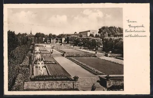 AK Essen, Grugapark, Farbenterrassen mit Leuchtbrunnen