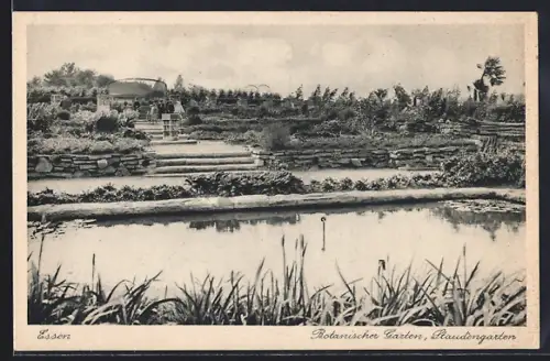 AK Essen, Staudengarten im Botanischen Garten