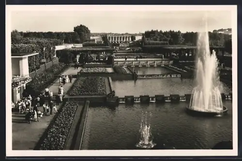 AK Essen, Springbrunnen im Grugapark