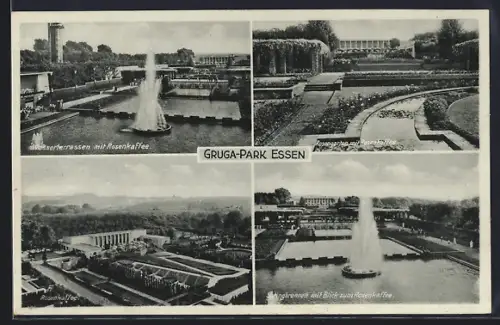 AK Essen, Rosen-Kaffee im Gruga-Park, Inh. W. Heiming