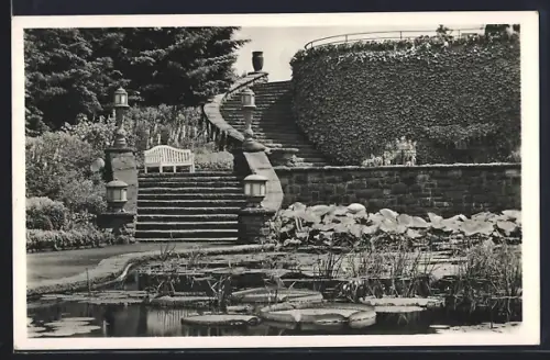 AK Essen, Reichsgartenschau 1938, Tropische Pflanzenschau im Warmwasserbecken