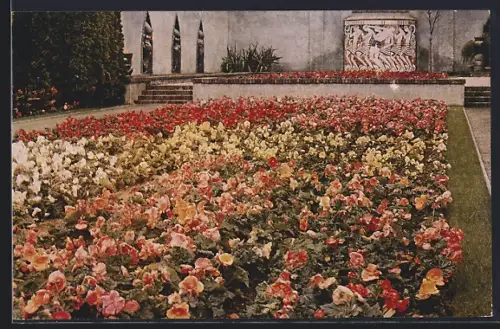 AK Essen, Grosse Ruhrländische Gartenbau-Ausstellung Gruga 1929, Begoniengarten