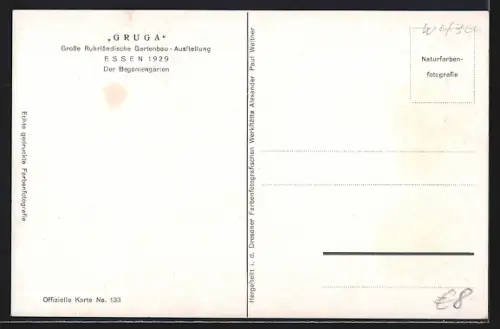 AK Essen, Grosse Ruhrländische Gartenbau-Ausstellung Gruga 1929, Begoniengarten