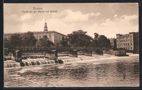 AK Dessau, Partie an der Mulde mit Schloss
