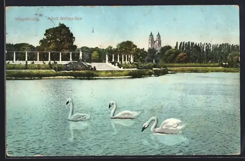 AK Magdeburg, Adolf MIttag See mit Schwänen