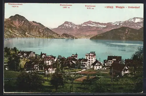 AK Weggis-Unterdorf, Teilansicht mit Oberbauen, Niederbauen und Vitznauerstock