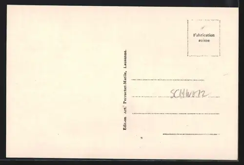 AK Montreux, Vue Générale