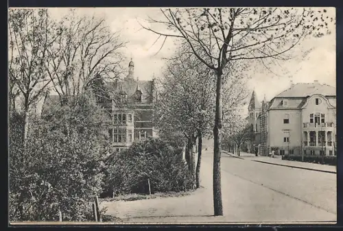 AK Dessau, Strassenpartie mit Bäumen