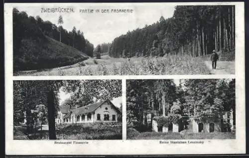 AK Zweibrücken, Restaurant Fasanerie, Ruine Stanislaus Leszinsky, Partie in der Fasanerie