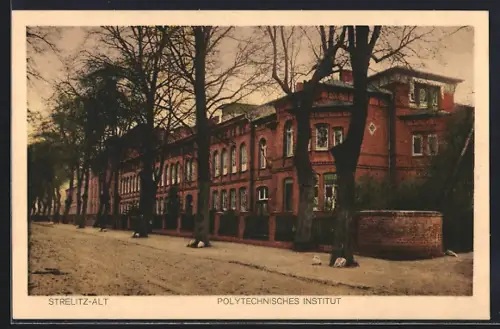 AK Strelitz-Alt, Polytechnisches Institut mit Strassenpartie