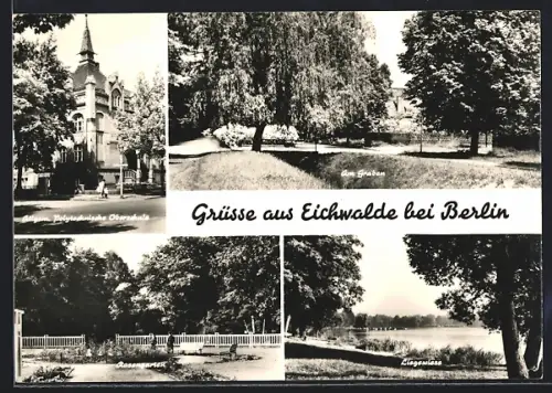 AK Eichwalde bei Berlin, Allgem. Polytechnische Oberschule, Am Graben, Liegewiese, Rosengarten