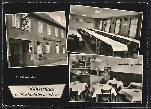 AK Nackenheim a. Rhein, Gaststätte Winzer-Haus mit Bar und Speiseraum, Wormer Strasse 7, Inh. Gretel Panitz