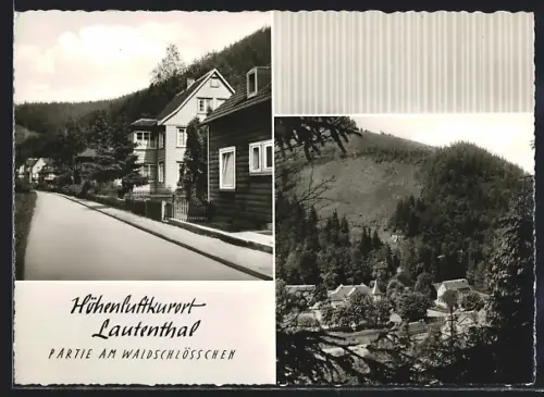 AK Lautenthal /Oberharz, Partie am Waldschlösschen