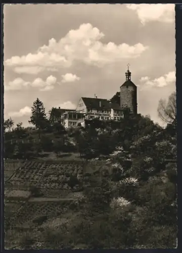 AK Winnenden, Burg Altwinnenden, Höhengasthof, Terrassencafé, Inh. Richard Reiff