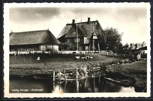 AK Hooge, Blick auf die Kirchwarf