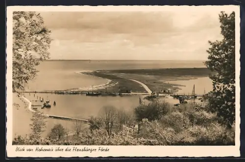 AK Hohenau / Ostseebad, Blick über die Flensburger Förde