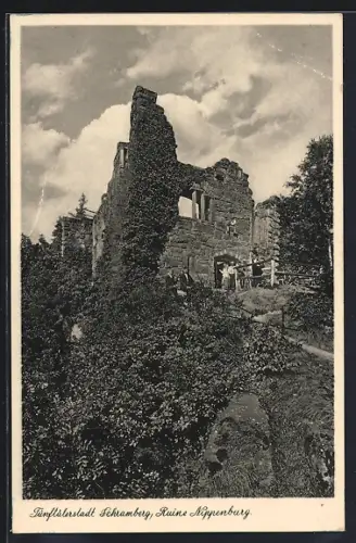 AK Schramberg, Die Ruine Nippenburg